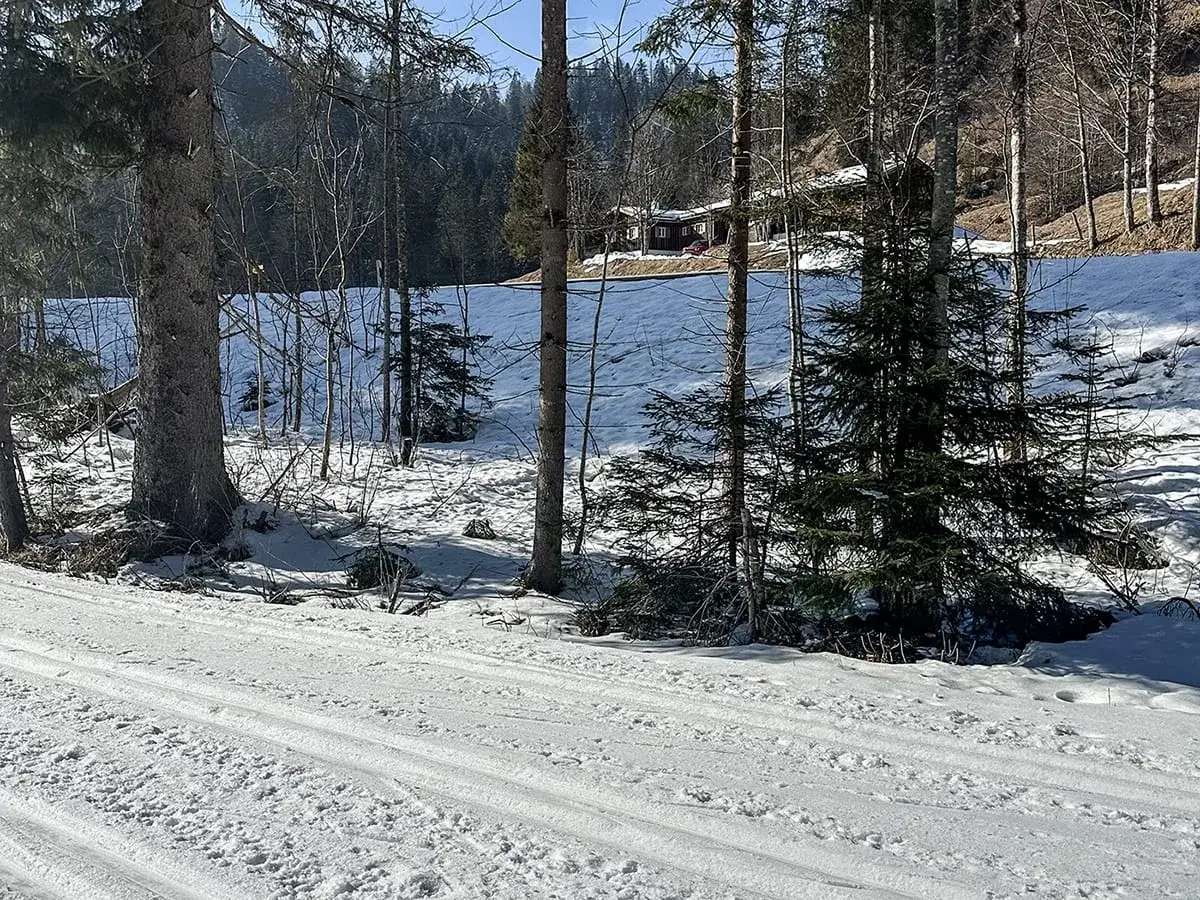 20km Langlaufloipe direkt vor der Haustüre.
